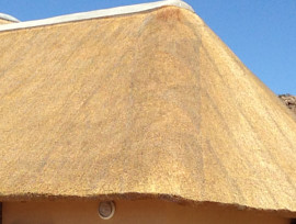 Goegap thatching project - hex-net fitted over thatch roof